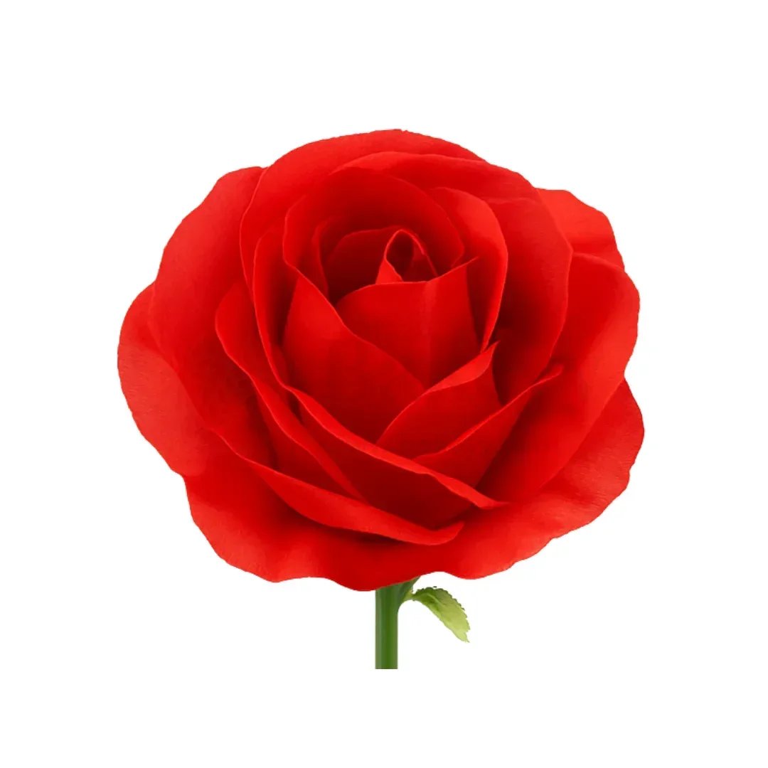 8cm - Artificial Roses Without Stem | Pack of 10 - Image 3