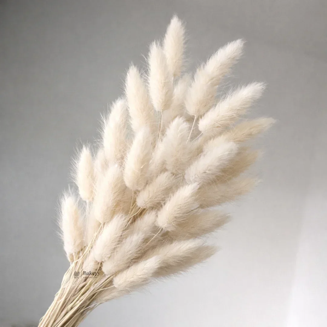 Dried Bunny Tail Grass Stems | Decorative Pampas Style Flowers | Long Stem | Multiple Color Options | 1 Bunch | 30-40 Bunny Tails per Bunch - Image 12