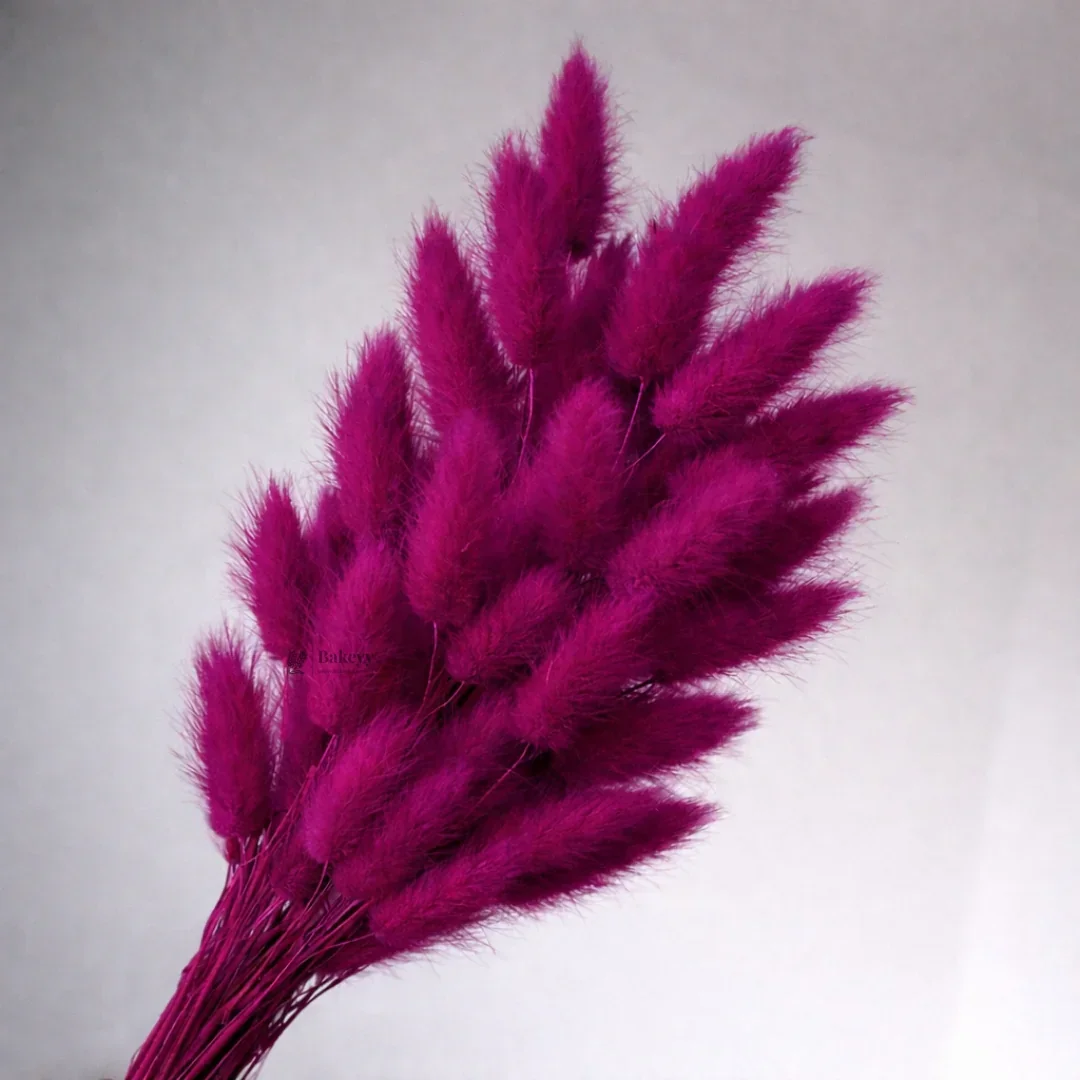 Dried Bunny Tail Grass Stems | Decorative Pampas Style Flowers | Long Stem | Multiple Color Options | 1 Bunch | 30-40 Bunny Tails per Bunch - Image 13