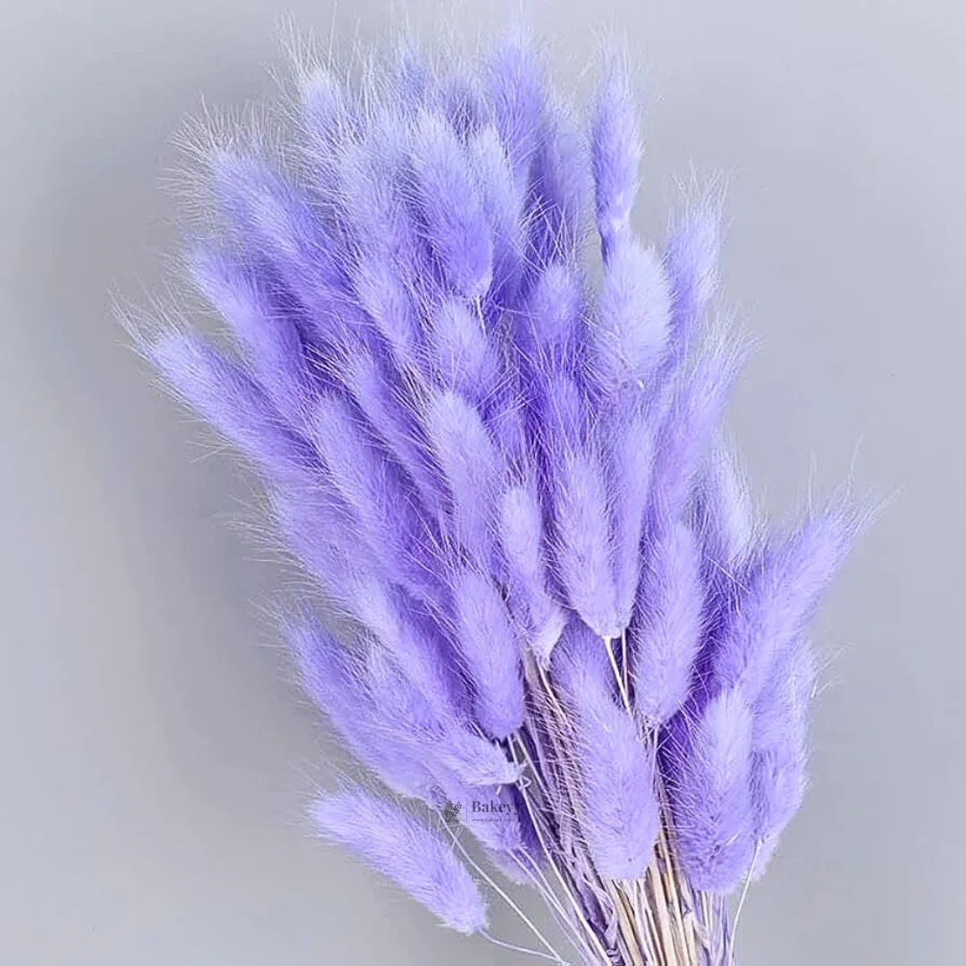 Dried Bunny Tail Grass Stems | Decorative Pampas Style Flowers | Long Stem | Multiple Color Options | 1 Bunch | 30-40 Bunny Tails per Bunch - Image 14