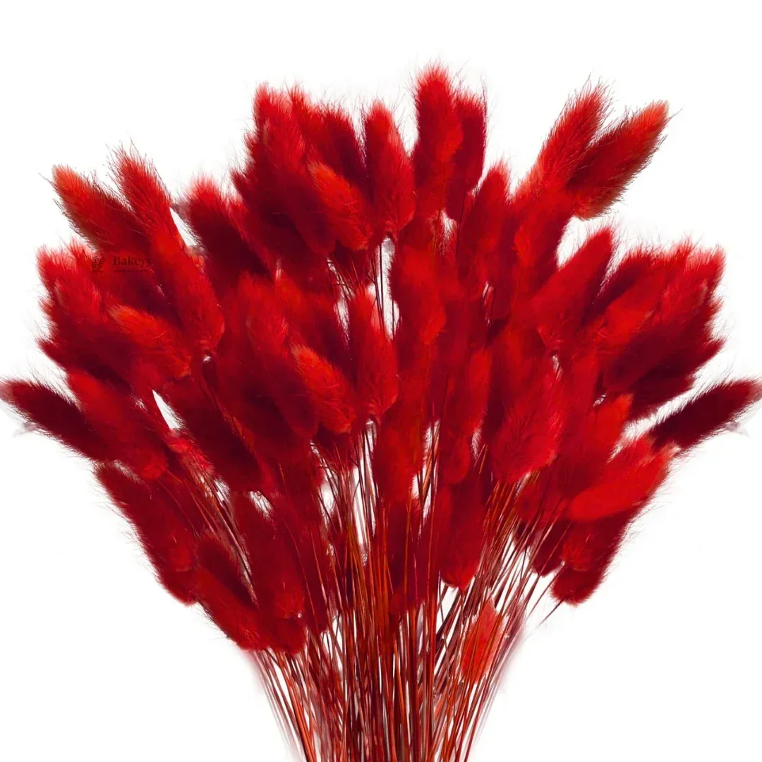 Dried Bunny Tail Grass Stems | Decorative Pampas Style Flowers | Long Stem | Multiple Color Options | 1 Bunch | 30-40 Bunny Tails per Bunch - Image 15