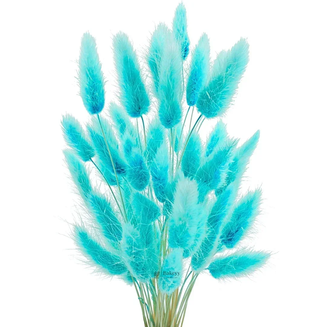 Dried Bunny Tail Grass Stems | Decorative Pampas Style Flowers | Long Stem | Multiple Color Options | 1 Bunch | 30-40 Bunny Tails per Bunch - Image 16