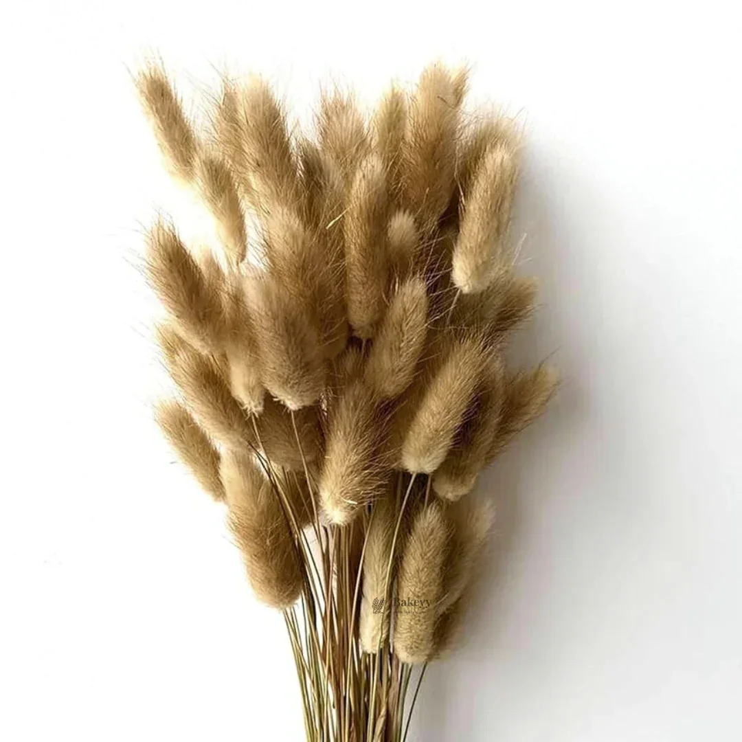 Dried Bunny Tail Grass Stems | Decorative Pampas Style Flowers | Long Stem | Multiple Color Options | 1 Bunch | 30-40 Bunny Tails per Bunch - Image 18
