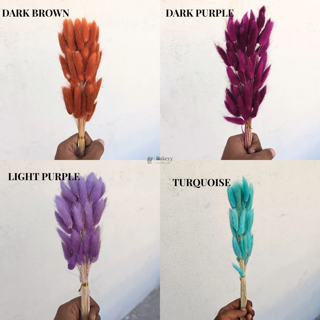 Dried Bunny Tail Grass Stems | Decorative Pampas Style Flowers | Long Stem | Multiple Color Options | 1 Bunch | 30-40 Bunny Tails per Bunch - Image 3
