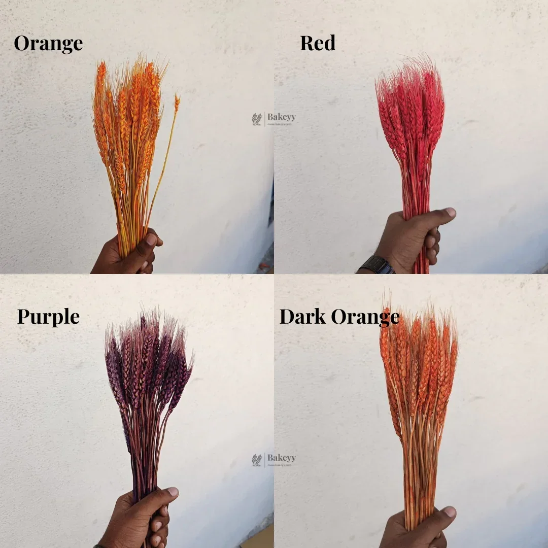 Dried Wheat Stems for Décor | Long Stem Natural Floral Accent | Decorative Bunch | Multiple Color Options | 45 - 55 Stems | 1 Bunch - Image 3