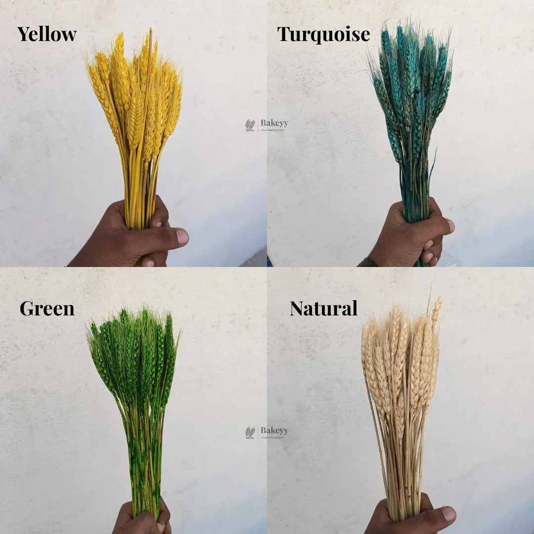 Dried Wheat Stems for Décor | Long Stem Natural Floral Accent | Decorative Bunch | Multiple Color Options | 45 - 55 Stems | 1 Bunch - Image 4