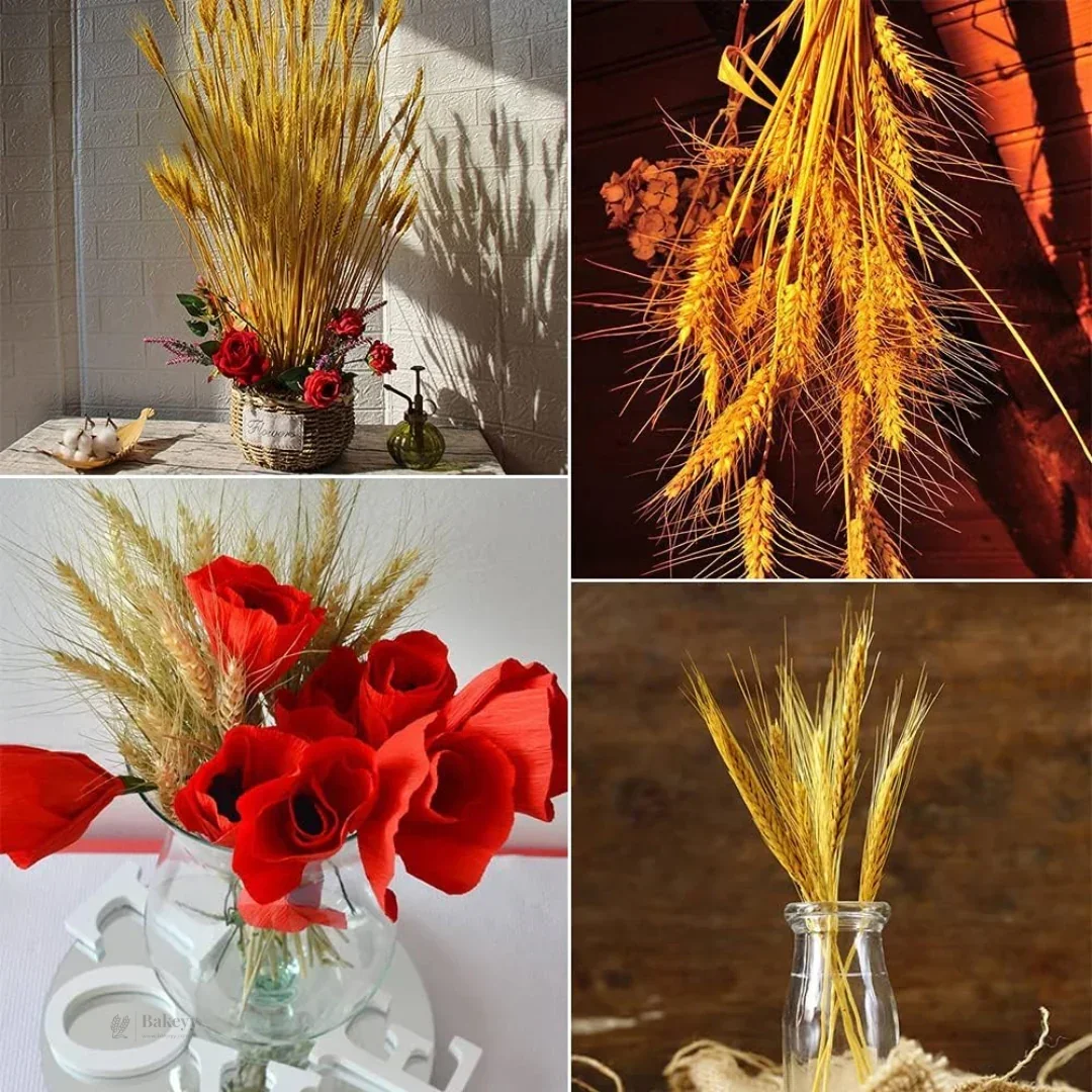 Dried Wheat Stems for Décor | Long Stem Natural Floral Accent | Decorative Bunch | Multiple Color Options | 45 - 55 Stems | 1 Bunch - Image 5