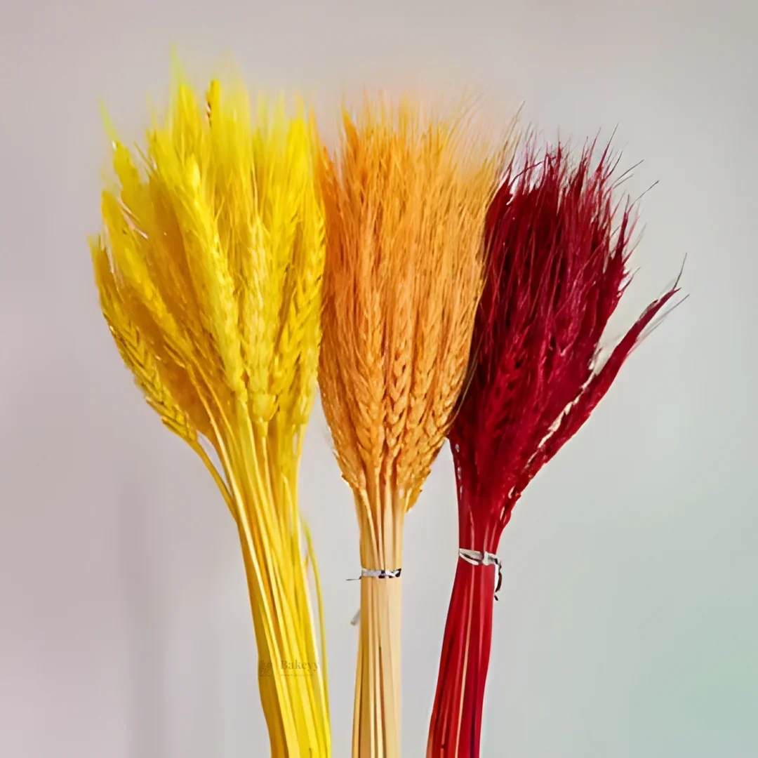 Dried Wheat Stems for Décor | Long Stem Natural Floral Accent | Decorative Bunch | Multiple Color Options | 45 - 55 Stems | 1 Bunch - Image 7