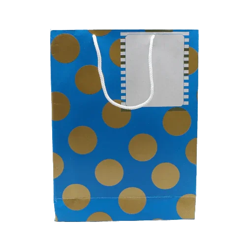 Paper Bag Printed White Space Given For Writing | Pack of 10 - Image 3