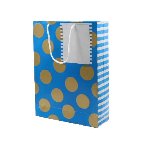 Paper Bag Printed White Space Given For Writing | Pack of 10 - Image 4