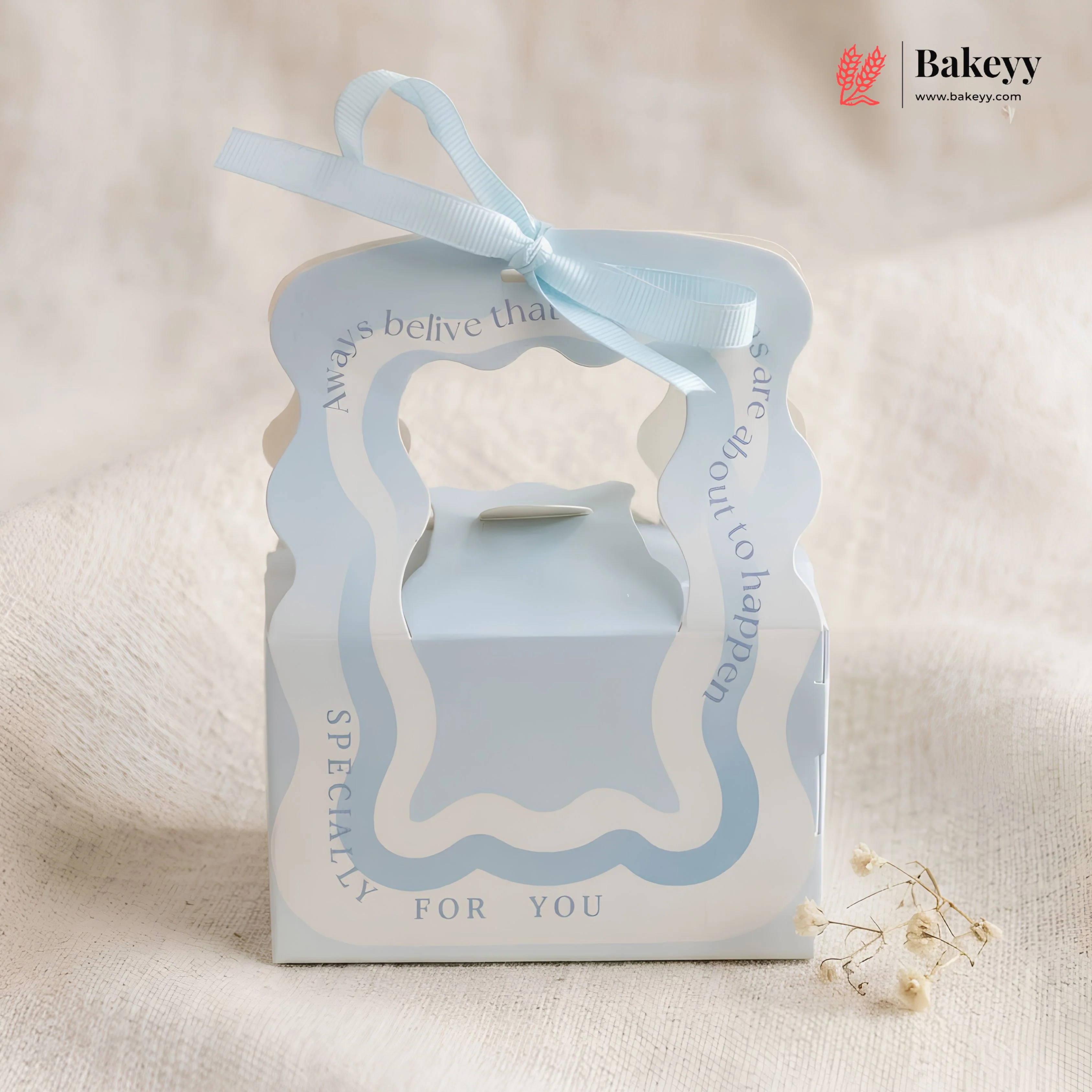 Pastel Ribbon Handle Favor Goodie Box Set | Candy, Chocolate & Return Gift Packaging | Pack of 10 - Image 3