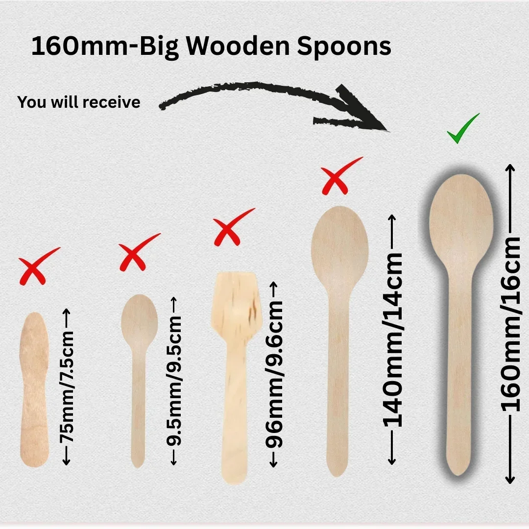 Wooden Disposable Spoons | Pack of 100 - Image 16